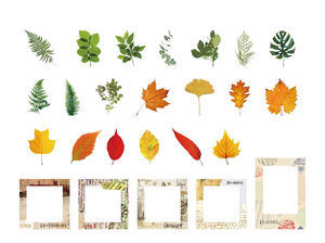 45Pcs Everything Book Series PET Sticker Pack