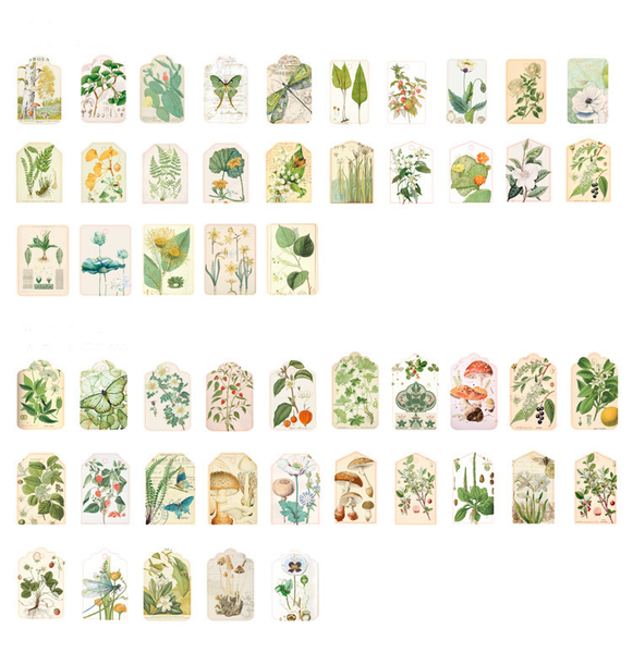 50PCS Vintage Psalm Message Cards Notes