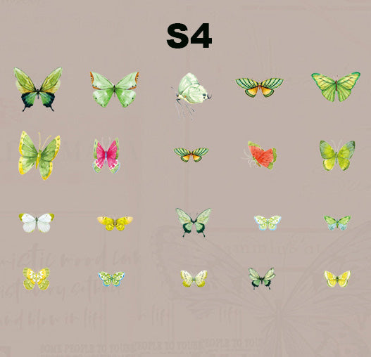 Butterfly Specimen Series Sticker