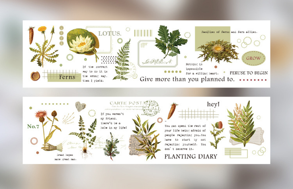 Field of Winds Series Paper Tape