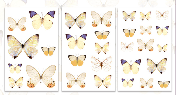 3Pcs Flutter Series PVC Stickers