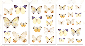 3Pcs Flutter Series PVC Stickers