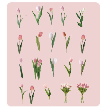 40PCS Hot Plants Pet Stickers