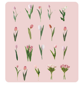 40PCS Hot Plants Pet Stickers