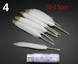 10PCS Natural Golden Black Feather