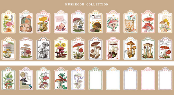 30PCS Collection Diary Material Package