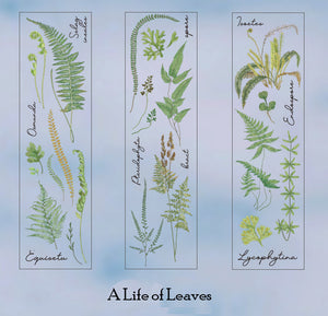 6PCS Forest Plant Scrapbook PET Stickers