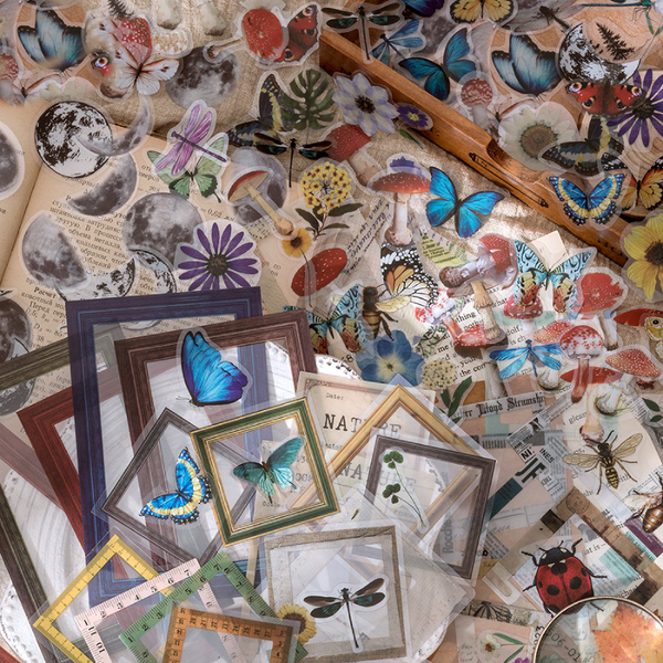 45Pcs Everything Book Series PET Sticker Pack