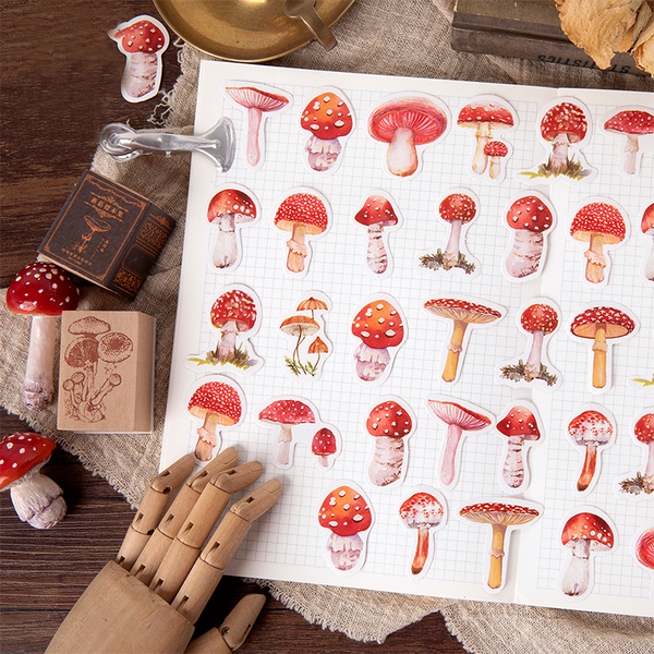 45PCS Mushroom Collector Decorative Stickers
