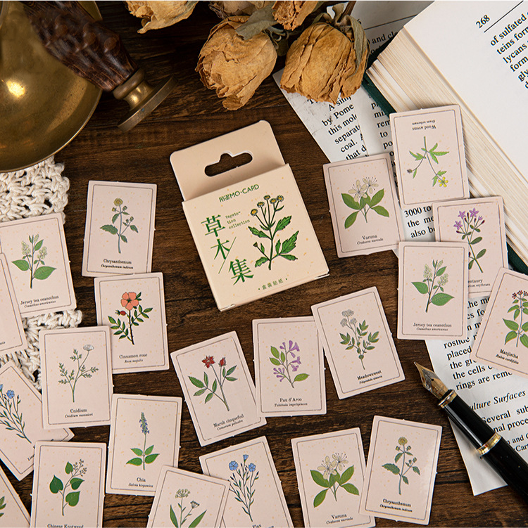 46PCS Herb Collection Decorative Stickers