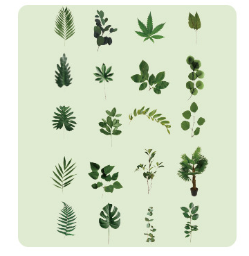 40PCS Hot Plants Pet Stickers