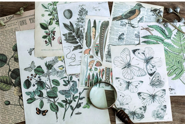 36pcs Large Size Scrapbook Material Package