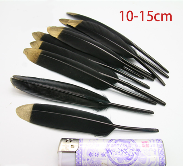 10PCS Natural Golden Black Feather