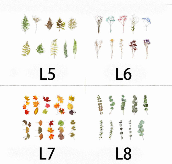 Scrapbook Plant Stickers