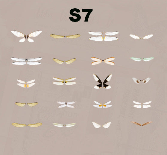Butterfly Specimen Series Sticker