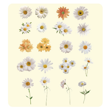 40PCS Hot Plants Pet Stickers