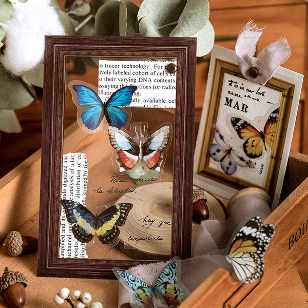 45Pcs Everything Book Series PET Sticker Pack