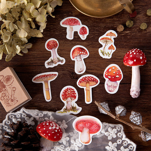 45PCS Mushroom Collector Decorative Stickers