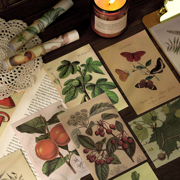 30PCS Retro Illustrated Plant Butterfly Stickers