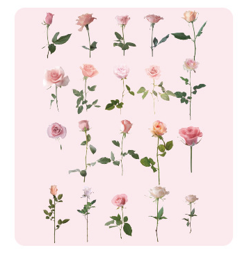 40PCS Hot Plants Pet Stickers
