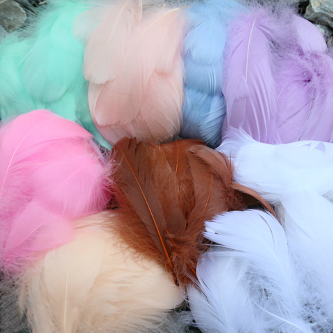 50 Pcs Artificial Color Feather