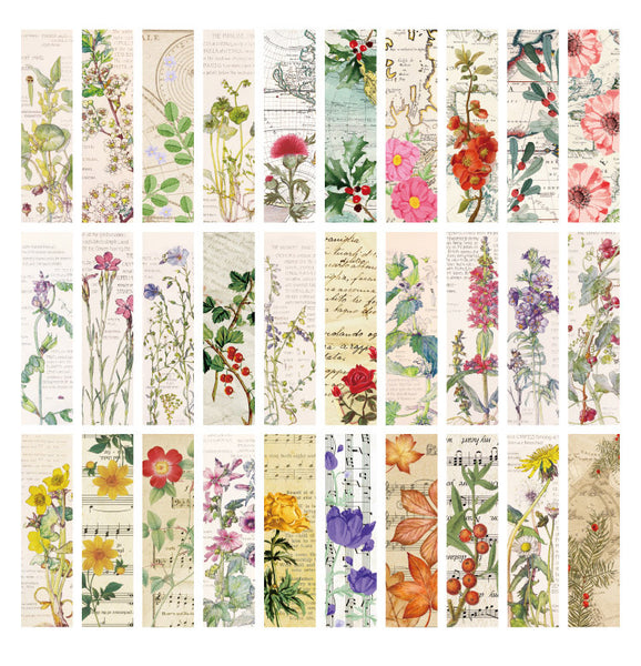 Flower Museum Series Boxed Bookmark