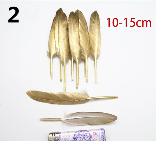 10PCS Natural Golden Black Feather