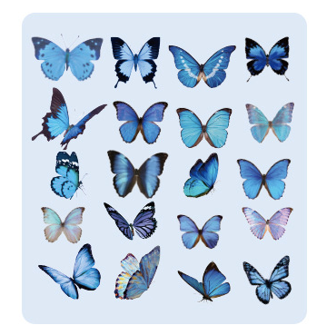 40PCS Hot Plants Pet Stickers