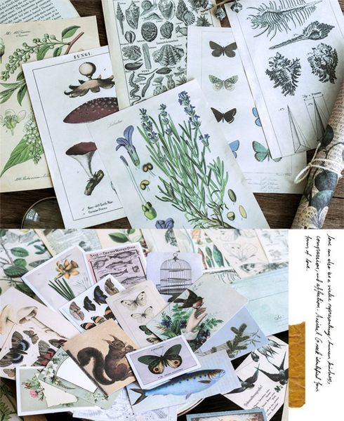 36pcs Large Size Scrapbook Material Package