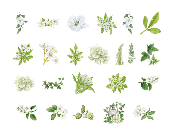 46PCS Plant Flower Blooms Decorative Stickers