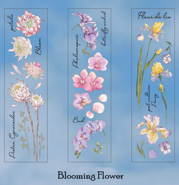 6PCS Forest Plant Scrapbook PET Stickers