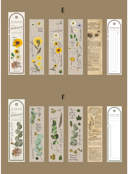 Plant Backyard Garden Series Material Package