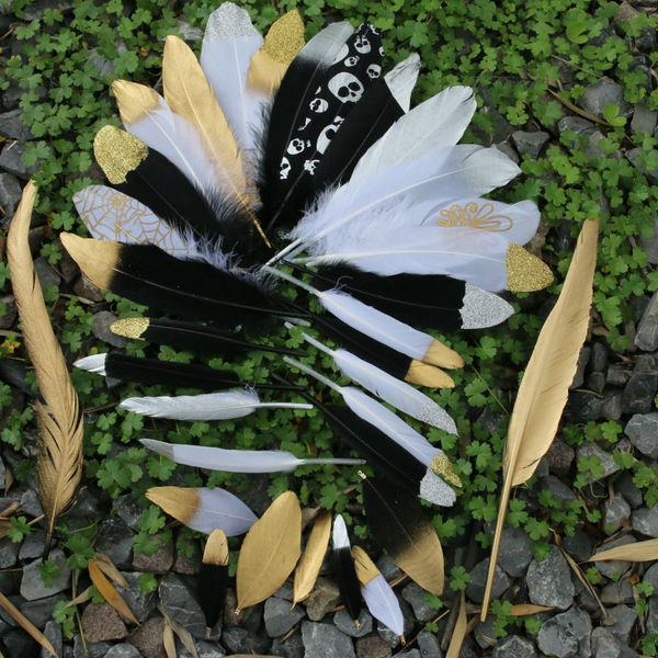 10PCS Natural Golden Black Feather