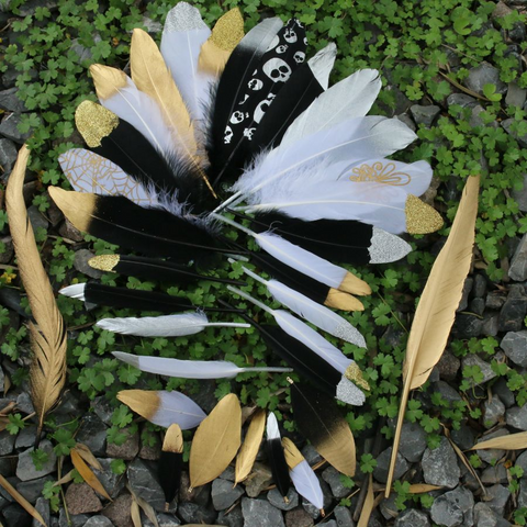 10PCS Natural Golden Black Feather