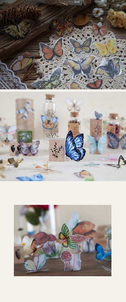 Butterfly Specimen Series Sticker