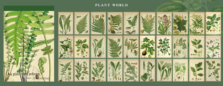 30PCS Retro Illustrated Plant Butterfly Stickers