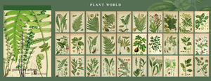 30PCS Retro Illustrated Plant Butterfly Stickers