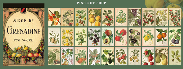30PCS Retro Illustrated Plant Butterfly Stickers