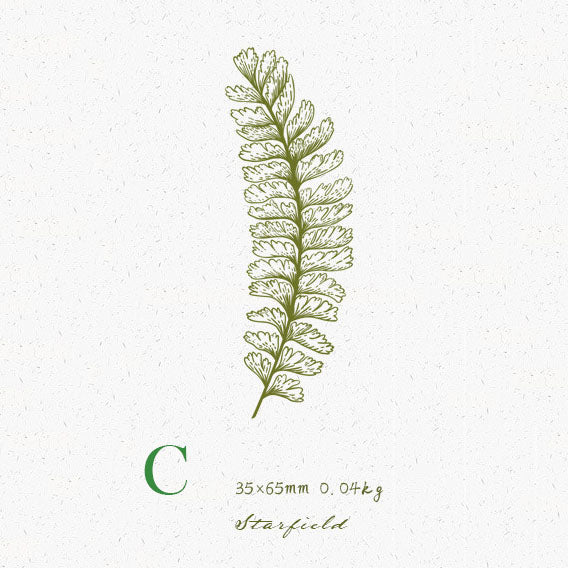 Fern Leaf Series Wooden Stamps