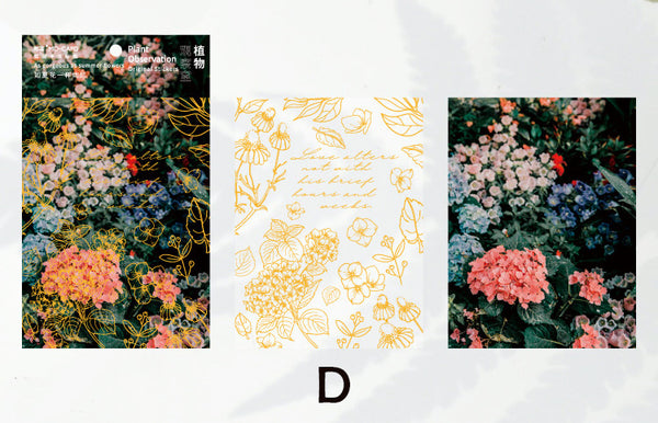 Double-layer Plant Observation Series Stickers