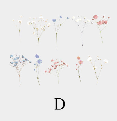 10PCS Natural Series PET Sticker