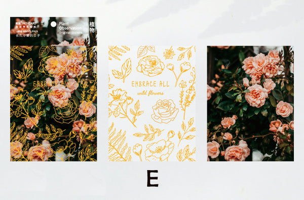 Double-layer Plant Observation Series Stickers