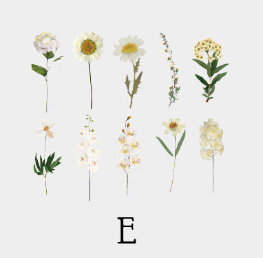 10PCS Natural Series PET Sticker