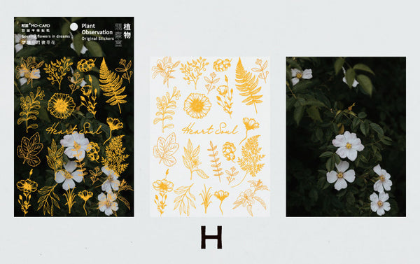 Double-layer Plant Observation Series Stickers