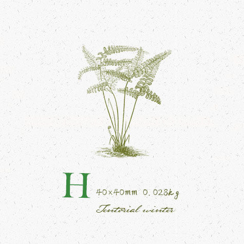 Fern Leaf Series Wooden Stamps