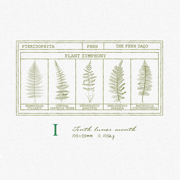 Fern Leaf Series Wooden Stamps