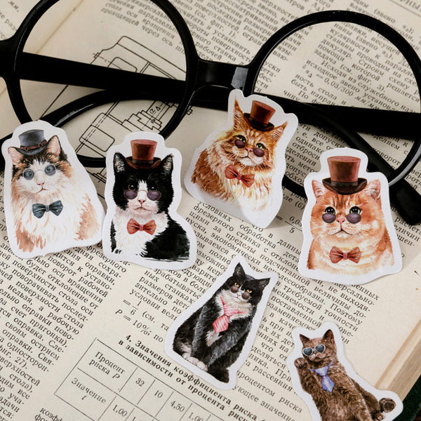 46PCS Mr. Cat Boxed Stickers