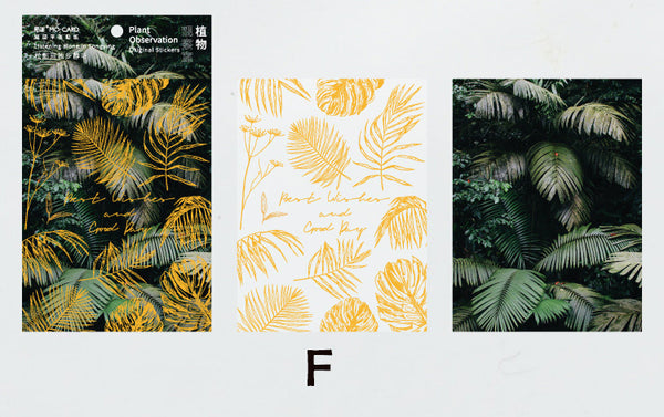 Double-layer Plant Observation Series Stickers