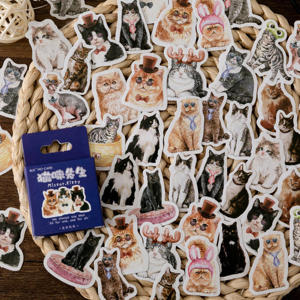 46PCS Mr. Cat Boxed Stickers