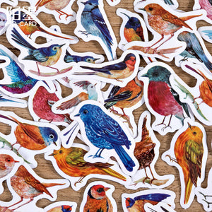 46 PCS Bird Stickers